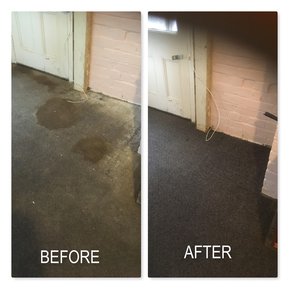 Care Carpet Cleaners Cleaning Services